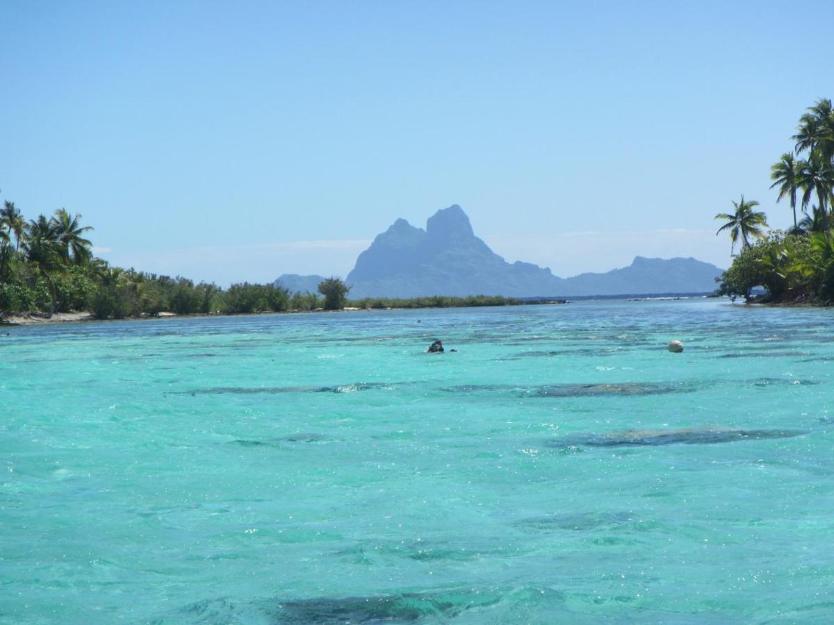 La Perle Tahaa Hotel Tapu' amu Eksteriør billede