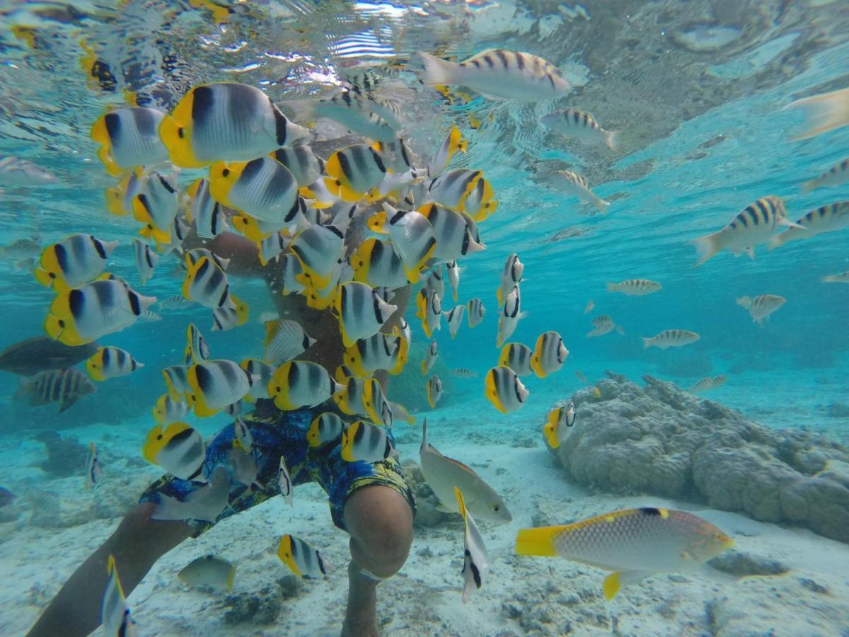 La Perle Tahaa Hotel Tapu' amu Eksteriør billede